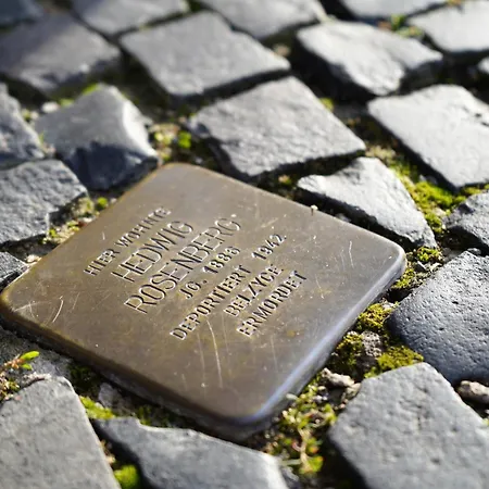 Bruecke26 Stadthaus Mit Dachterrasse * Mühlhausen